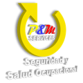LOGO P&M 2017 BLANCO
